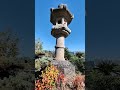 the many stone lanterns in my japanese garden stonelanterns traditional garden design 庭 石灯籠