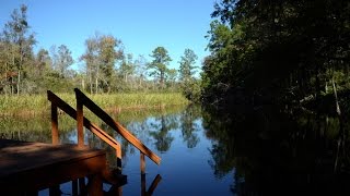 Living on Old Combahee Plantation