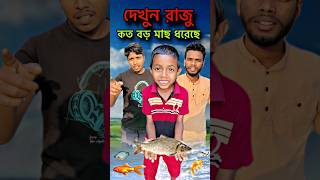 দেখুন রাজু কত বড় মাছ ধরেছে #trending #shorts #youtubeshorts #funny #raju #mach #nlfsohelvlog