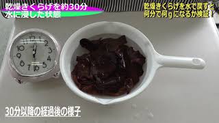 【検証動画】乾燥きくらげを水で戻すと何分で何ｇになるか？