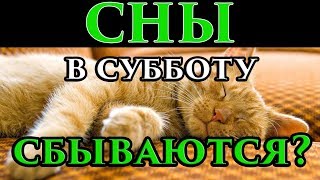 Сны с пятницы на субботу сбываются или нет 🌙 - Маг Fose