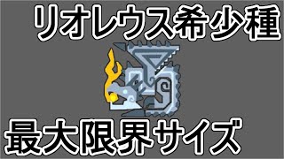 【MHP2G】　リオレウス希少種　最大限界サイズ