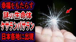 【ゆっくり解説】あなたは見つけた？幸福になる謎の生命体ケサランパサラン日本各地で発見！古くから伝わる伝説の未確認生物の正体がヤバい【UMA・未確認生物】