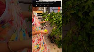 చాల మంది అడుగుతున్నారు try chesstamu #shortsfeed #minivlog #fruits #trending #viral