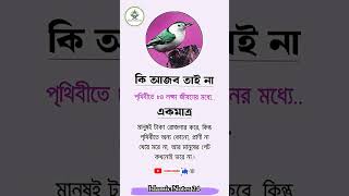 কি আজব তাই না পৃথিবীতে#shortsfeed #islamicvideo #shortvideo #ইসলামিক #Islamic #shorts#islamicnotes24