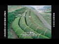 【懐かしの映像】新茶の季節　大浦町（1971・1981）mbcテレビ『あの日のふるさと』より｜鹿児島県