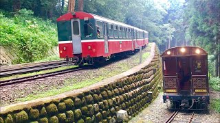 【Alishan Forest Railway】The Train of Sacred Tree Line(2 Oct. 2018)