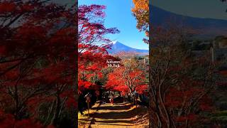 Autumn Mt.Fuji 秋の富士山 🗻#visitjapan #japantravel #femaletravel  #beautifuldistantaiton#国内旅行好きと繋がりたい 