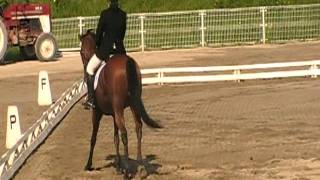 '11  中部学生馬術選手権大会　１回戦馬場馬術競技　向井喜果  愛星　