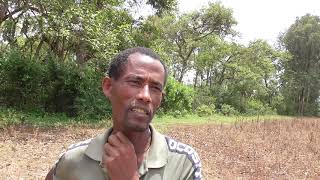 Wanza (ዋንዛ) Farmer Testimonial