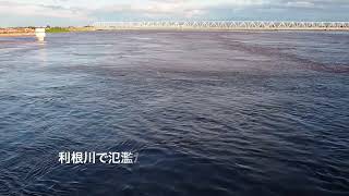 【白岡市】利根川の水害リスク　～浸水ナビCG動画～