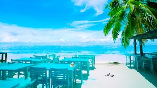 Caribbean Cafe Ambience with Smooth Bossa Nova & Ocean Wave Sounds☕White Sandy Beach for Work, Study