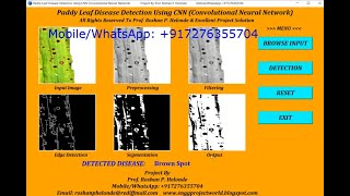 Paddy Leaf Disease Detection Using CNN Convolutional Neural Network Python Project With Source Code