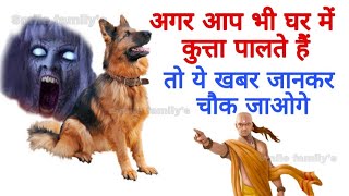 Vastu tips घर के अंदर कुत्ता पालना शुभ है या अशुभ सुनकर आप चौक जायेगे mysteries of dog