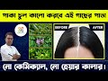 পাকা চুল সাথে সাথেই কালো করতে পারে এই গাছের পাতা |Easy & Natural solution of grey hair / white hair.