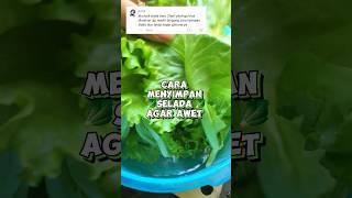 CARA MENYIMPAN SELADA AGAR TETAP SEGAR 🥬 #selada #foodpreparation #tipsandtricks #food #asmr