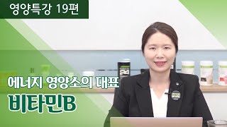 [영양특강 19편] 에너지 영양소의 대표주자 비타민B