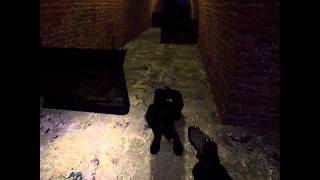 Source SDK: Scripted sequence / Map test