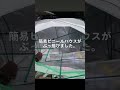 【shorts】暴風でやられちゃった🥲【多肉植物】