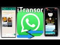 How to Transfer WhatsApp Messages between Android and iPhone Easily [Full Guide 2022]