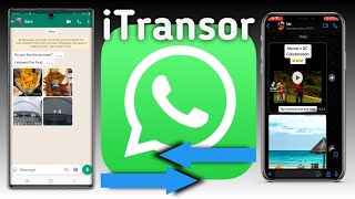 How to Transfer WhatsApp Messages between Android and iPhone Easily [Full Guide 2022]