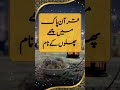 quran e majeed ke 10 khufiyyah raaz quran e pak ki aham malomaat