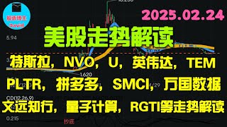 2月24日，美股走势解读，特斯拉、NVO、U、英伟达、TEM、PLTR、拼多多、超威电脑、万国数据、文远知行、量子计算、RGTI、DXYZ等 ❤️➡️ #美股推荐2025 #英伟达股票 #特斯拉股票