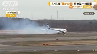 ANA機「翼から煙」　滑走路が一時閉鎖　新千歳空港【知っておきたい！】【グッド！モーニング】(2024年4月25日)