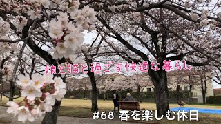 【50代、娘と猫のめめとすごす快適な団地暮らし#68】春爛漫～ベランダの植物、無印良品週間、お花見、クリーニングを出す時期のお話し～