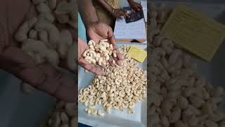 W180 CASHEW KAJU WHOLESALE 7550251115 AT Jetpur Deesa Amreli Botad Dahod Kalol Patan Godhra Veraval