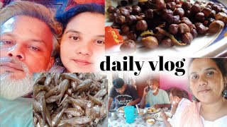 Daily vlog / আলহী আহিল আজি/ সৰু মাছৰ সোৱাদলগা ৰেচিপি আৰু দিনটোৰ ইটো সিটো/ tasty  fish recipe 😋😋