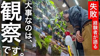 「葉水」してるだけじゃダメ…！【観葉植物】