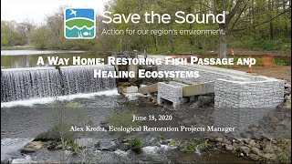 Webinar - A Way Home: Restoring Fish Passage and Healing Ecosystems