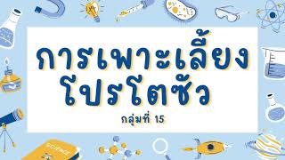 การเพาะเลี้ยงโปรโตซัว กลุ่มที่ 15