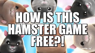 THIS HAMSTER GAME IS FREE TO PLAY | Hamster Playground