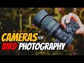 Best Cameras for Bird Photography in 2024: Canon vs Nikon vs Sony