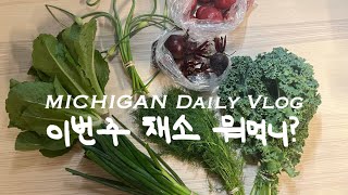 [미국 일상 vlog] 유기농 채소 구독, 4th of July 독립기념일 시골 불꽃놀이 구경