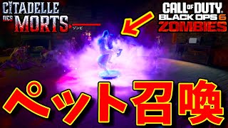 【CoD:BO6 ゾンビ】優秀?ペット召喚できるイースターエッグ解明！シタデル デ モール【Citadelle des Morts】