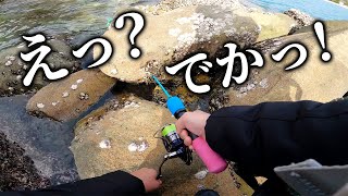 【穴釣り】子供でも良型カサゴが釣れました！ゴロタで根魚連発！