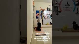 Head stand || Fitnessyogshala || #shorts #yoga #benefits #youtubeshorts #fitness . Comment for more.