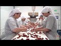 The 2022 Agriculture Technology In Tomatoes & Dried Figs No Copyright Video.