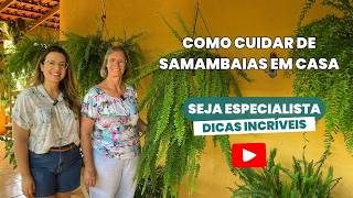 O que ninguém te conta sobre as SAMAMBAIAS | Como Ter Samambaias Lindas e Saudáveis!🌿