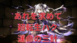 【実況パズドラ】強くて可愛い！超転生ハク　運命の三針