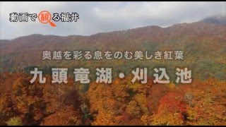 動画で観る福井　奥越を彩る息をのむ美しき紅葉「九頭竜湖・刈込池」