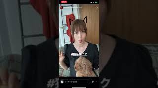 本田翼 インスタ ストーリー 猫耳