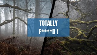 Spooky Foggy Woodland Photography Adventure | Shooting Local Woodland with a flight above the FOG !