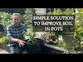 How to IMPROVE Soil in POTS