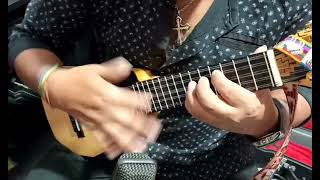 Flor de un día  -  Savia Andina cover en Charango