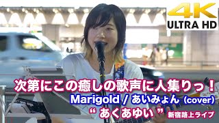 【4K】次第にこの癒しの歌声に人集りっ！　Marigold / あいみょん（cover）  \