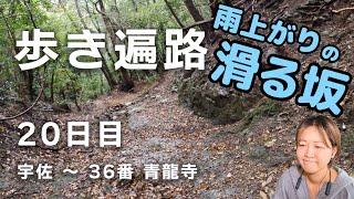 【歩き遍路】20日目　四国８８ヶ所　宇佐 ～ 36番 青龍寺 （全55日）